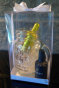 uniquely_yours_new_project237004.jpg